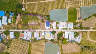 CẦN BÁN ĐẤT NỀN VEN BIỂN TUY PHONG BINH THUẬN-anh-4