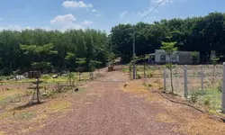 ✅ Bán Đất Tam Phước, cách đường Phùng Hưng 100m-anh-4