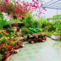 Cho thuê căn hộ 100m2 3PN 2WC nội thất cơ bản với giá 7tr- Happy City-anh-10