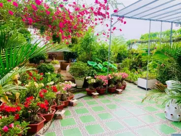 Cho thuê căn hộ 100m2 3PN 2WC nội thất cơ bản với giá 7tr- Happy City-anh-5
