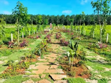 siêu phẩm đất nền quốc lộ 20-anh-4