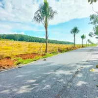 siêu phẩm đất nền quốc lộ 20-anh-6