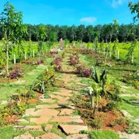 siêu phẩm đất nền quốc lộ 20-anh-7