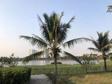 Chính chủ bán lô Liền Kề 11 khu B1.1 Kđt Thanh Hà giá chỉ 5x tỉ-anh-4