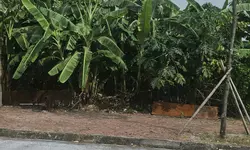 Nhà 3 tầng Trương Hán Siêu Hải Dương 43.7m2 mới tinh đỗ xe VF3 giá 1.920 tỷ-anh-14