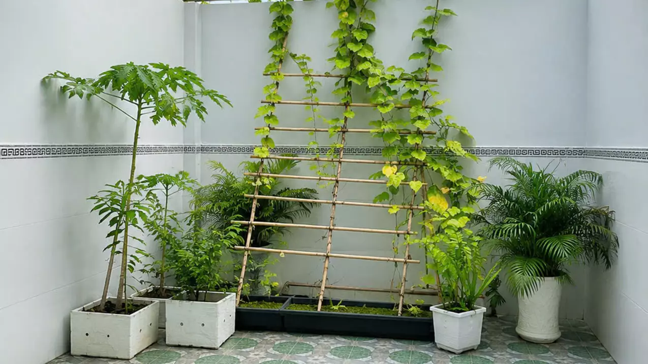 NHÀ 4 TẦNG 112M2 HUỲNH TẤN PHÁT, NHÀ BÈ – GIÁ  5.3 TỶ-anh-4