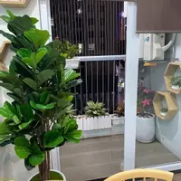 Chính Chủ Bán Căn A10CT2 66m2 , 2PN, 1VS, Tiện Nghi Như Mới-anh-16