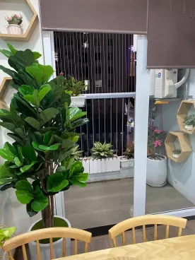 Chính Chủ Bán Căn A10CT2 66m2 , 2PN, 1VS, Tiện Nghi Như Mới-anh-9