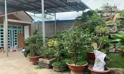 Nhà 5x9m Bông Sao P5Q8 P.Bình Đông, Giá : 4.38 Tỷ-anh-17