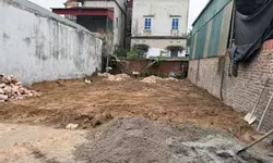 BẠN ĐANG TÌM CHO GIA ĐÌNH MỘT KHÔNG GIAN SỐNG XANH VIEW SÔNG SEN SIÊU HIẾM-anh-12