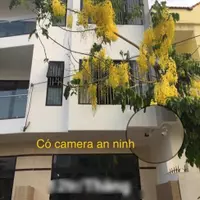 NHÀ CHO THUÊ NGUYÊN CĂN đường Nguyễn Đình, quận Sơn Trà- đà nẵng-anh-7