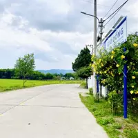 CỰC RẺ - Sỡ hữu đất Đà Nẵng cực đẹp ngay lộ sát chợ Túy Loạn sầm uất-anh-4