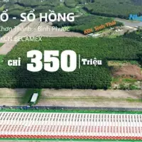 SỞ HỮU LÔ ĐẤT SỔ SẴN NGAY QL14 CHỈ VỚI 350TR - CHƠN THÀNH - BÌNH PHƯỚC-anh-7