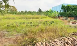 Ra hàng siêu phẩm nhà mới xây 1 trệt 2 lầu 5x20m2(100% thổ cư) 4PN+3WC-anh-7
