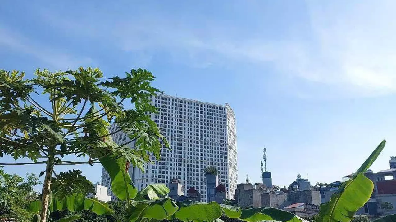 NHÀ ĐẸP BÊN MỸ - HÀNG HIẾM - NGÕ THÔNG - SỔ NỞ HẬU - GIÁ ĐẸP - 55m2 - Nhỉnh 8 tỷ-anh-1