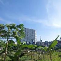 NHÀ ĐẸP BÊN MỸ - HÀNG HIẾM - NGÕ THÔNG - SỔ NỞ HẬU - GIÁ ĐẸP - 55m2 - Nhỉnh 8 tỷ-anh-6