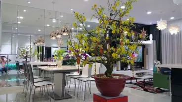 Cho thuê căn hộ chung cư Sunrise city -3PN- Full nội thất-Q7/ LH: 0983839578-anh-9