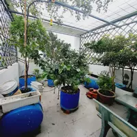 Nhà đẹp HXH Đồng Nai P2, Tân Bình, Sân vườn 4 Tầng  4x13m, 4,9 Tỷ TL-anh-9