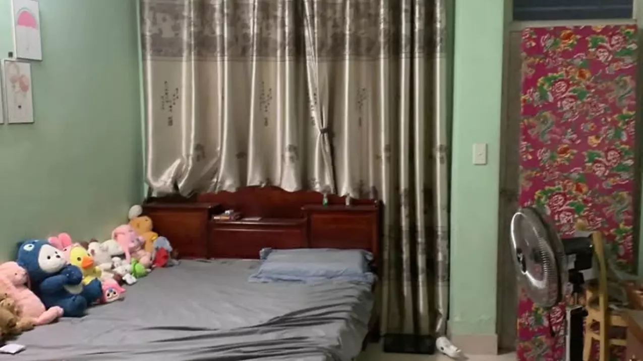 NHÀ ĐẸP MỸ ĐÌNH KINH DOANH NGOC THÔNG Ô TÔ QUA CỬA-anh-5