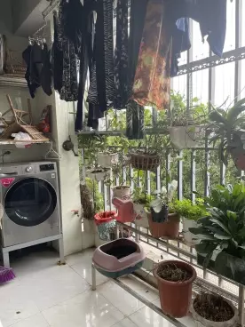 Chính chủ cần bán căn hộ Góc 80m tầng đẹp toà HH03 Kđt Thanh Hà Cienco 5-anh-3