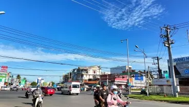 TÔI ĐANG CẦN BÁN MỘT MÃNH VƯỜN 2000M2 HIỆN ĐANG TRỒNG CÂY ĂN TRÁI ĐÃ THU HOẠCH GIÁ 290TRIEU-anh-4
