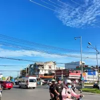 TÔI ĐANG CẦN BÁN MỘT MÃNH VƯỜN 2000M2 HIỆN ĐANG TRỒNG CÂY ĂN TRÁI ĐÃ THU HOẠCH GIÁ 290TRIEU-anh-7