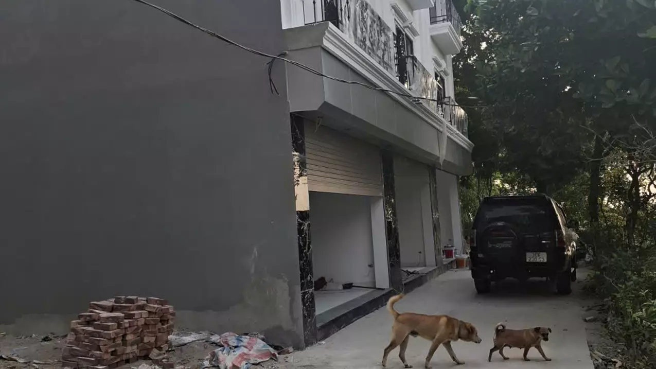Nhà Đồng Lư, Quốc Oai, View đỉnh-anh-2