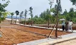 Đất đảo Cô Tô để đầu tư, gần bãi biển đẹp Hồng Vàn-anh-5