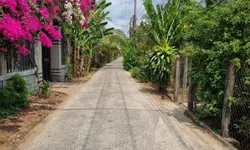 Bán Đất Mặt Tiền Chợ Thạnh Phú - Vỉa Hè Kinh Doanh Rộng Đến 12M-anh-6
