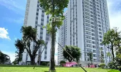 Cơ hội sở hữu nên 5F Apollo Vĩnh Tân mặt tiền đường 25m thuận tiện kinh doanh buôn bán.-anh-9