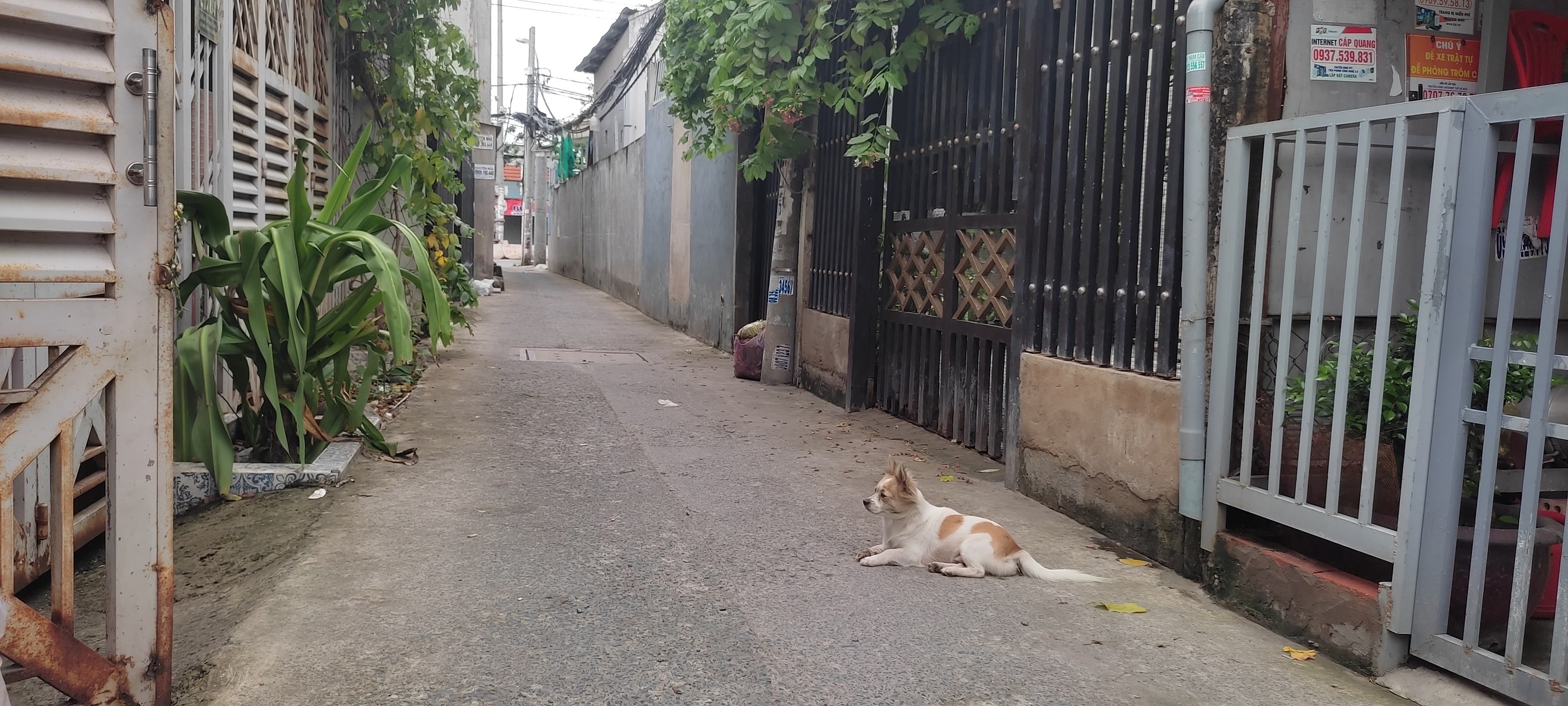 Nhà ngang khủng 8.7m, cách 1 căn ra mặt tiền đường Huỳnh Tấn Phát, Nhà Bè, 76m2, 2 tầng, sổ riêng,-anh-4
