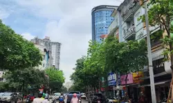 NHÀ NGHĨA ĐÔ - PHÂN LÔ ĐẲNG CẤP --anh-16