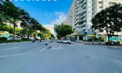 Tôi Muốn Bán Lô Đất Thổ Cư - Tặng Nhà Dòng Tiền Đường Bờ Sông Sét, Hoàng Mai, Hà Nội-anh-27
