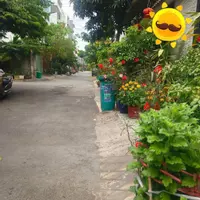 Nhà phố 3 tầng hẻm 6m sát chợ Hiệp Bình Thủ Đức sẵn nguồn thu lớn, 67m2, ngang 6m, dài 11m, 8.5 tỷ-anh-7