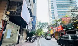 Nhà phố Đông Thiên Hoàng Mai diện tích 35 met, 2 tầng mới cứng nhỉnh 3 tỷ-anh-10