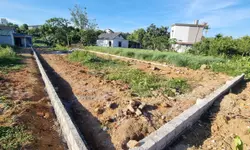 NHÀ PHỐ ĐƯỜNG LÝ THƯỜNG KIỆT PHƯỜNG 15 (Cũ) nay PHƯỜNG PHÚ THỌ,  QUẬN 11, HCM-anh-9