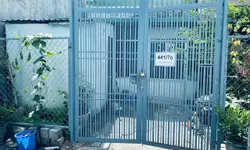 Nhà phố lầu trệt KDC phường Dĩ An, Bình Dương TP HCM-anh-14