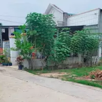 Bán 171,5m2 đất phường Tân an, Thủ dầu một nhánh Nguyễn chí thanh-anh-4