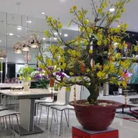 CHO THUÊ CĂN HỘ CHUNG CƯ SUNRISE CITY -3PN-,ĐẦY ĐỦ NỘI THẤT-Q7 - LH: 0983839578-anh-20