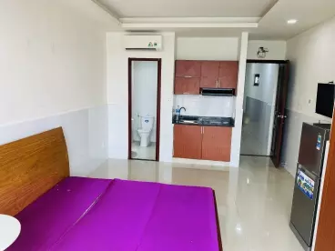 Cho thuê căn hộ mini tại quận 7 gần khu chế xuất tân thuận ngay mặt tiền nguyễn văn linh-anh-5