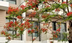 Nhỉnh 5 tỷ, Có nhà Cấp 4, Văn Trì - Bắc Từ Liêm, ở ngay-anh-10