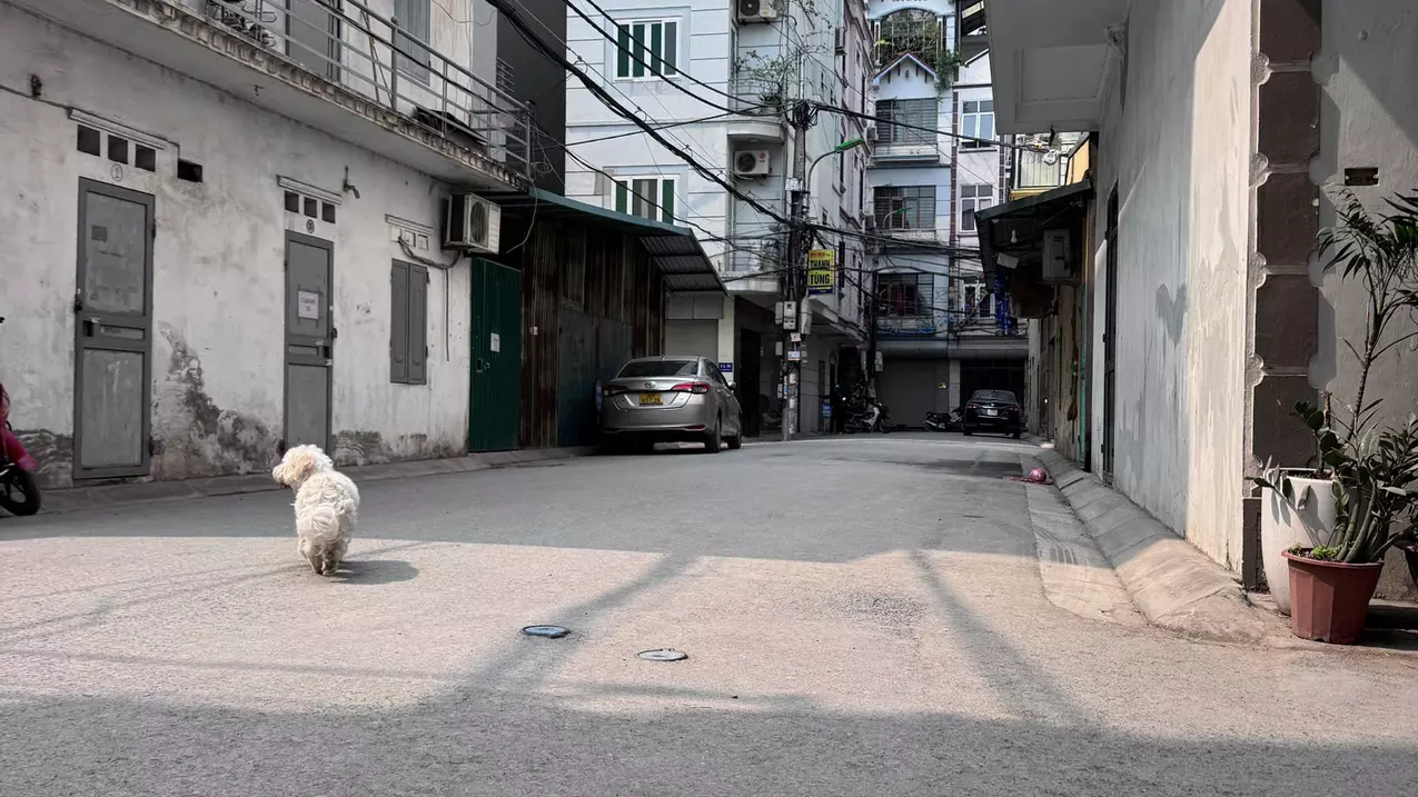 NHÌNH 7 TỶ, NHÀ DÂN XÂY CẦU DIỄN 39M2X5 TẦNG, NGÕ MORNING VÀO NHÀ-anh-1