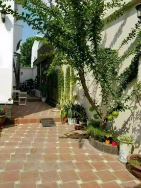 Bán nhà đường 35 Hiệp Bình Chánh Thủ Đức. 10m x 24m, giá 13 tỷ-anh-6