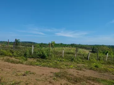 Bán đất thổ cư view suối ngay nhà Yến tại Tân Tiến Bù Đốp Bình Phước-anh-2