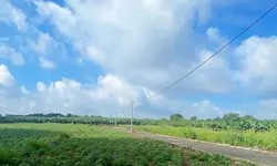 NP1001
BÁN NHÀ 1tret 2 Lầu TDC_ LONG BÌNH CHỢ ĐIỀU BH ..ĐN-anh-12