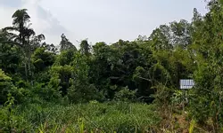 Hậu Giang Lên Ngôi - Đầu Từ Rạng Lối-anh-11