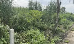 Hậu Giang Lên Ngôi - Đầu Từ Rạng Lối-anh-6