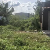 Cần bán đất 1/ TX 52-anh-5