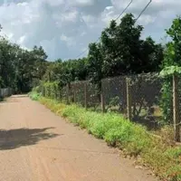 Bán 4734m2 đất vườn, chia làm 4 sổ nhỏ, mỗi sổ hơn 1000m2 giá 375 triệu có thương lượng-anh-4