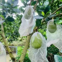 Bán 4734m2 đất vườn, chia làm 4 sổ nhỏ, mỗi sổ hơn 1000m2 giá 375 triệu có thương lượng-anh-6